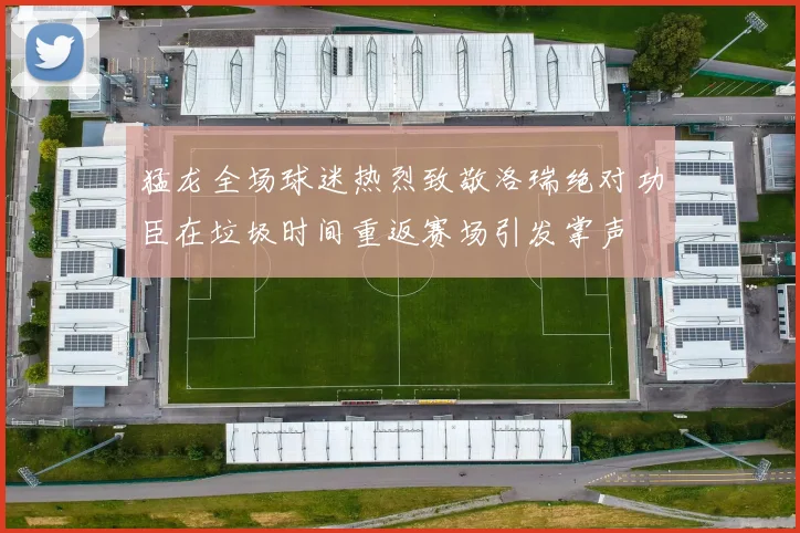 猛龙全场球迷热烈致敬洛瑞绝对功臣在垃圾时间重返赛场引发掌声