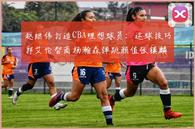 赵继伟打造CBA理想球员：运球技巧郭艾伦智商杨瀚森弹跳颜值张镇麟完美结合